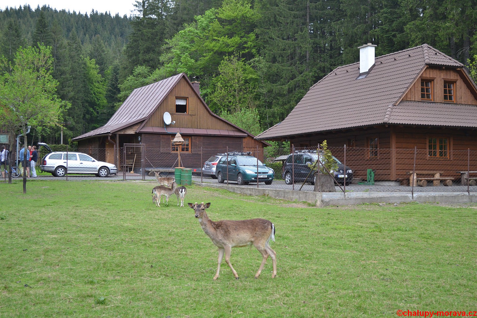 Naše chalupy